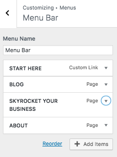 Wordpress customizer menu example